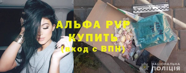 a pvp Новозыбков